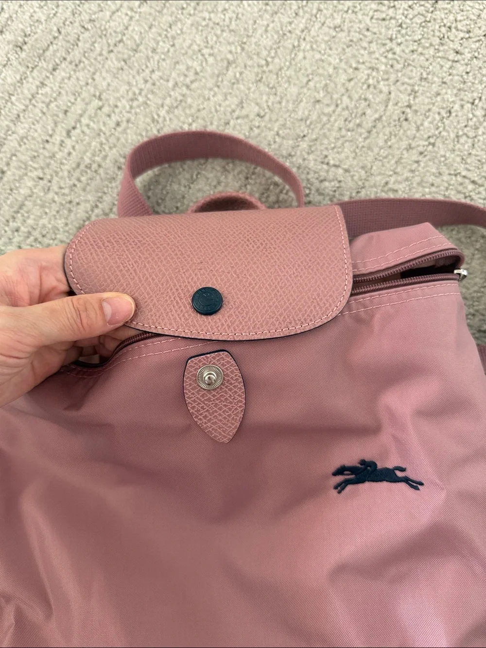 Longchamp Rose Pink Nylon Backpack with rose leather Flap